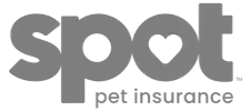 Buyer Logo